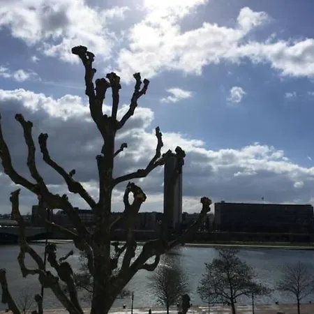 La Cathedrale - Vue Sur Seine